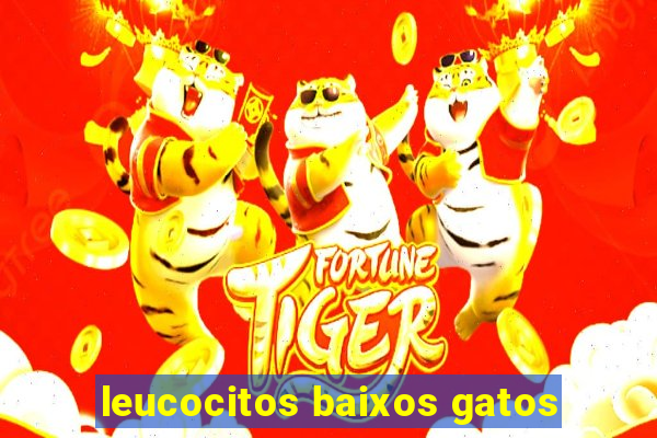 leucocitos baixos gatos